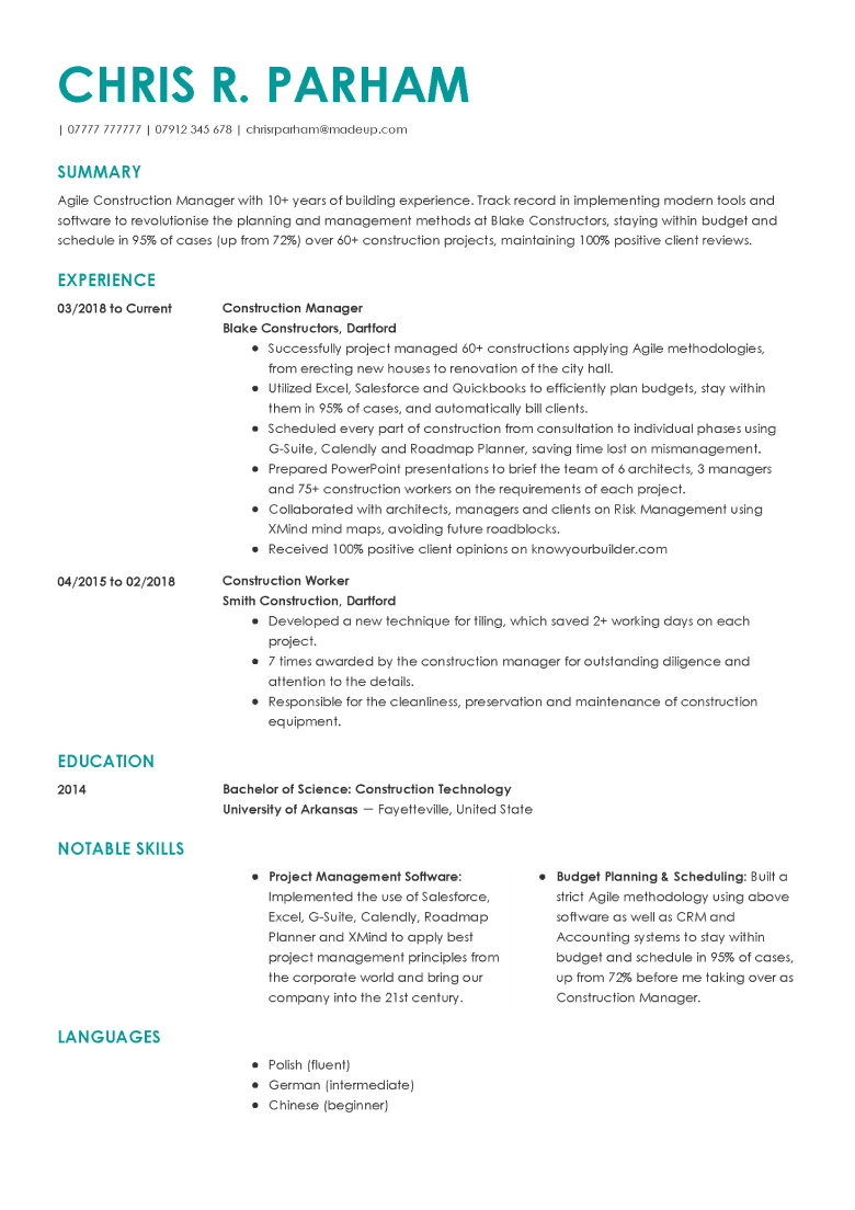 Professional CV template 2