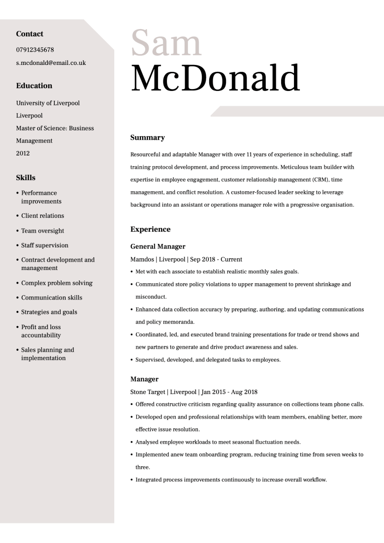 Professional CV template