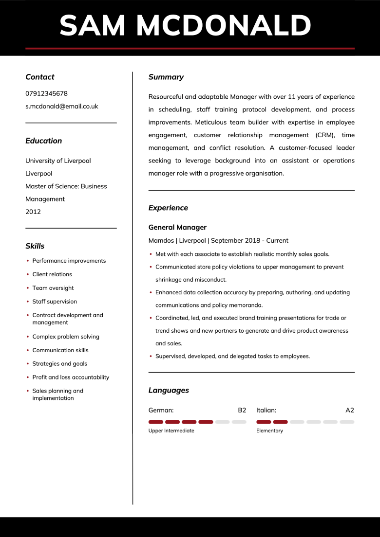 Professional CV template